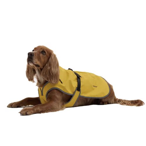 Barbour Evie Waterproof Dog Coat - Limeade