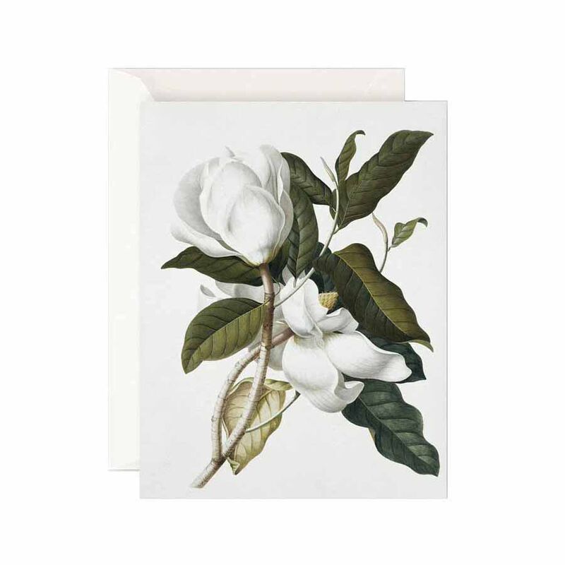 Father Rabbit Stationery Gardenia Card image number 0