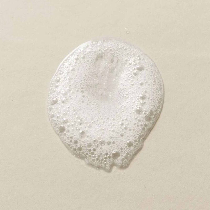 CZE Hair Silk Wash 300ml image number 1