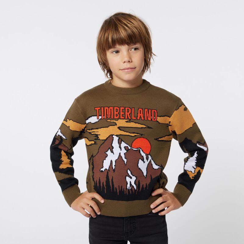 Timberland Jacquard Sweater 5Y - 8Y image number 1