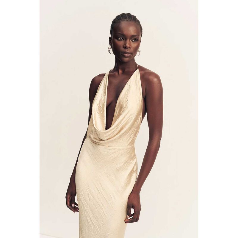 Shona Joy Andie Sleeveless Cowl Maxi Dress image number 2