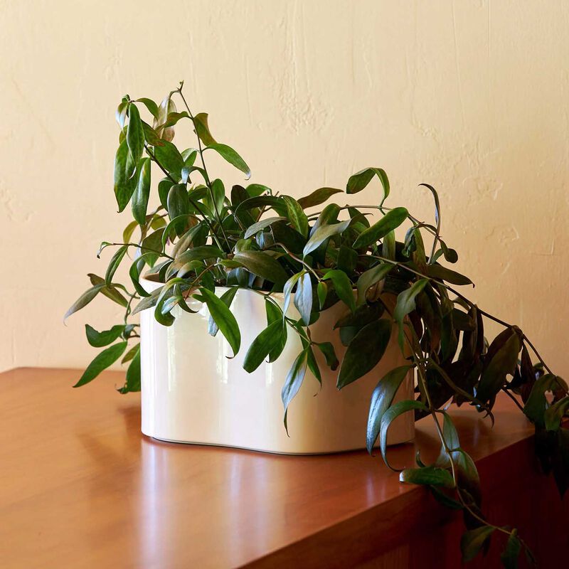 Citt&agrave; Artek Riihitie Plant Pot A White S 20.5x12cmh image number 2