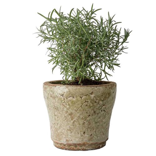 French Country Celadon Herb Pot