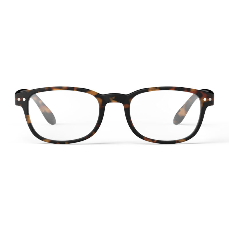 IZIPIZI Reading Collection - #B - Tortoise image number 1