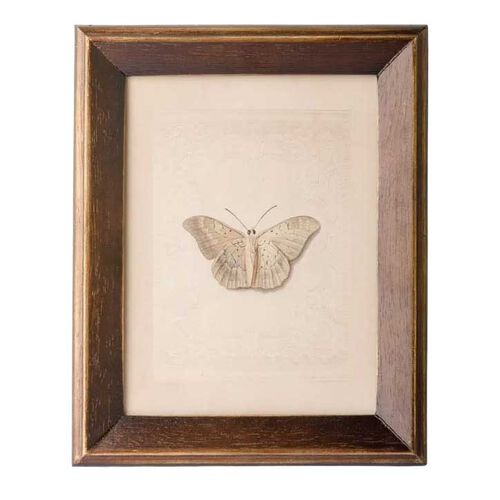 French Country Butterfly Study Wall Art