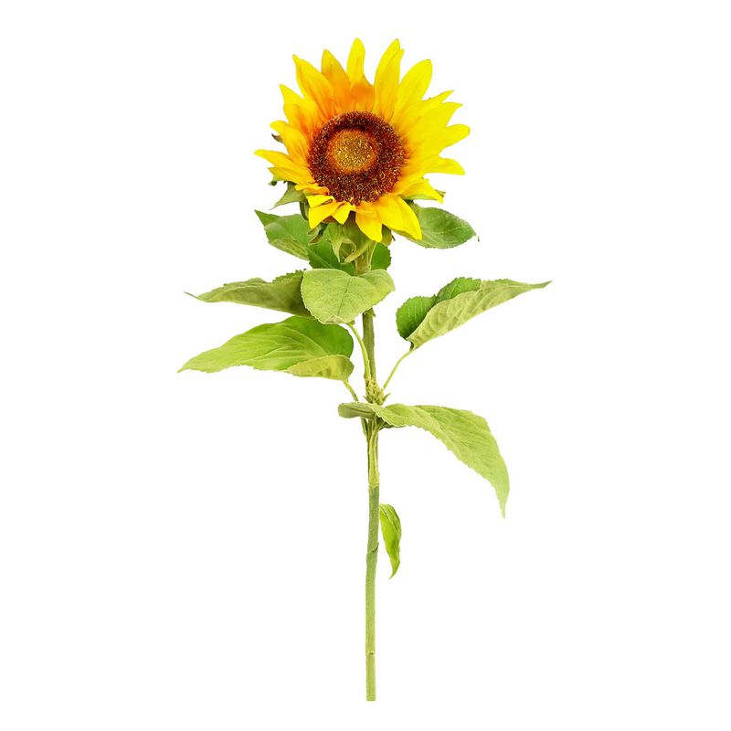 Alison's Acquisitions Tall Sunflower image number 0