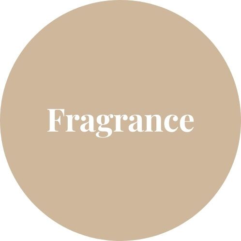 ss25-collection-beauty-fragrance