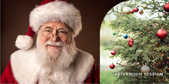 events-christmas-afternoon-grotto events-christmas-afternoon-grotto