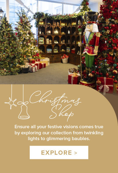 christmas-magazine-shop-landing-page