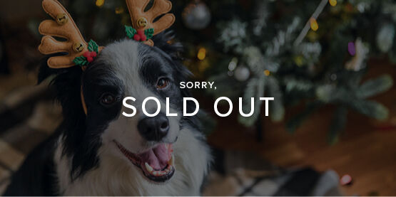 events-christmas-pet-grotto