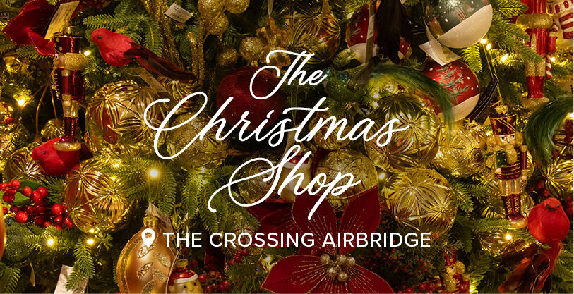 the-christmas-shop-landing-page-banner