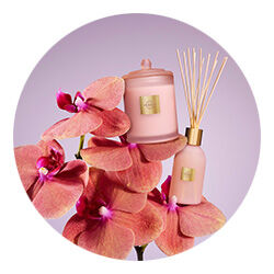 glasshouse-limited-editions