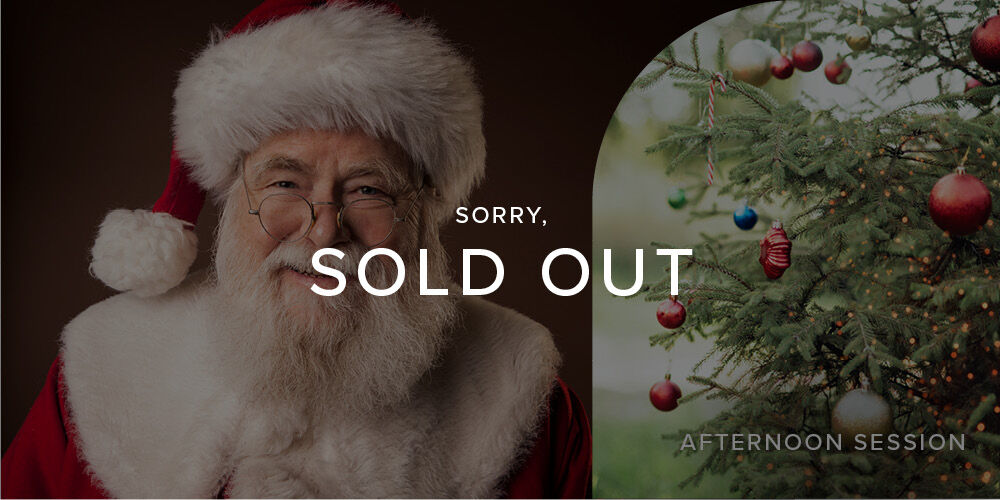 events-christmas-afternoon-grotto