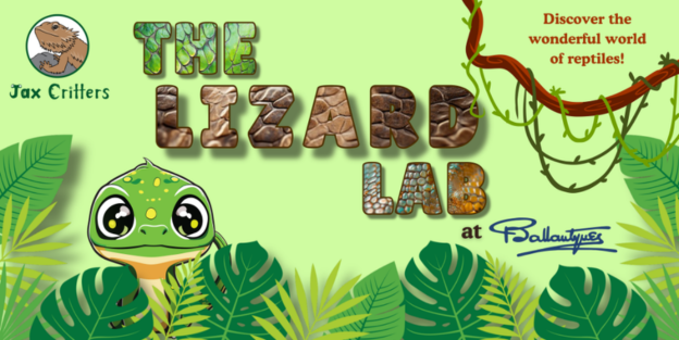 childrens-event-lizard-lab