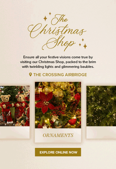the-christmas-shop-banner