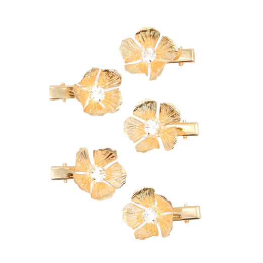 Morgan & Taylor Floret Hair Clip Set