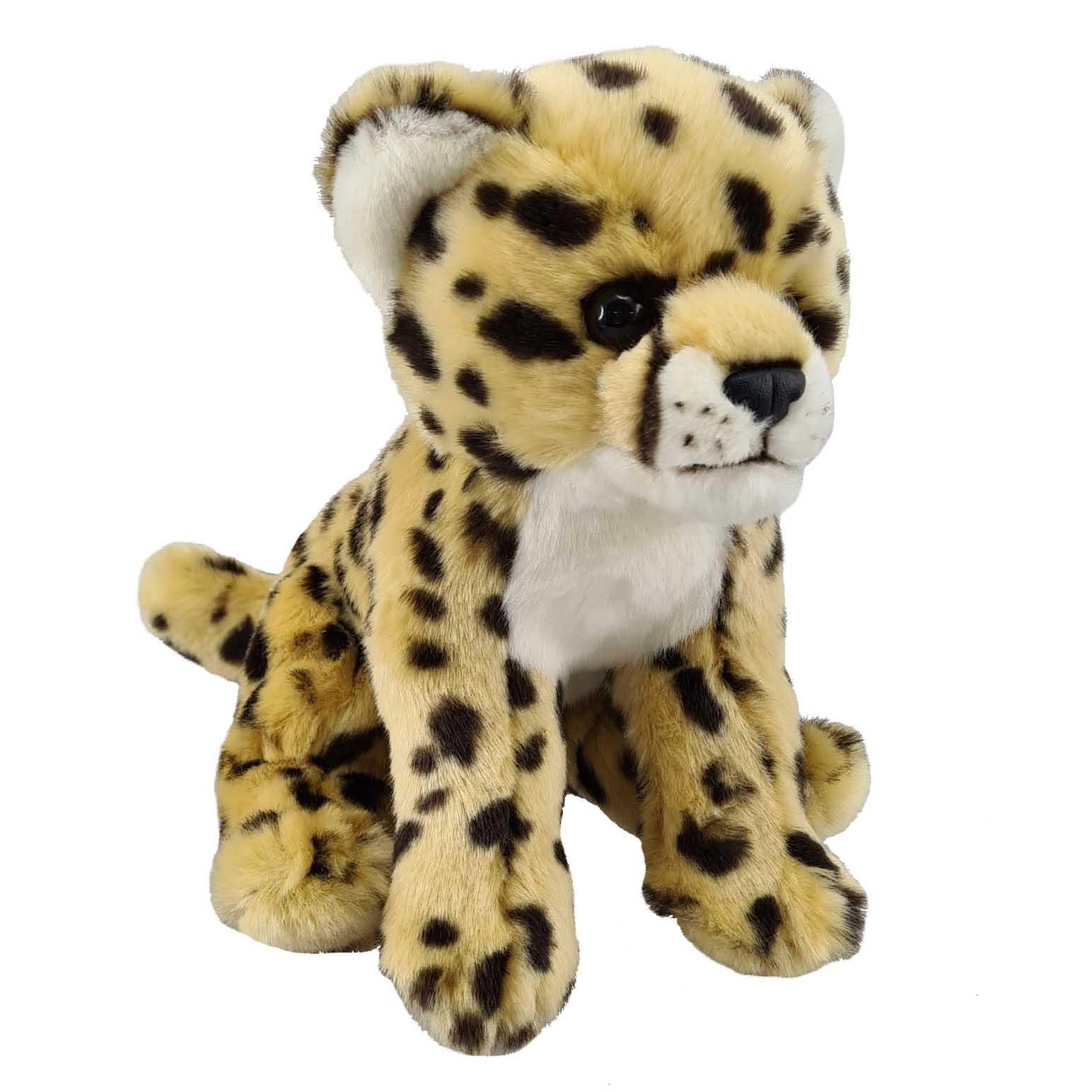 Antics Cheetah