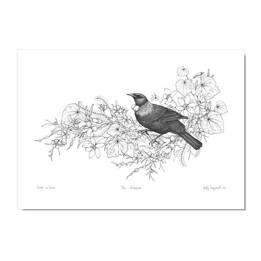 Katy Hayward Print - Home Is Here - Tui - A3