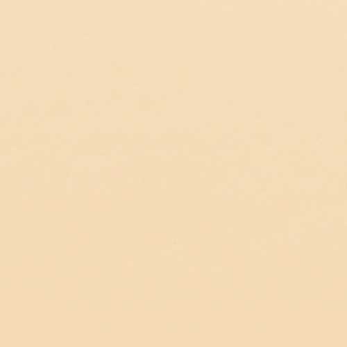 Shiseido Revitalessence Skin Matte Foundation