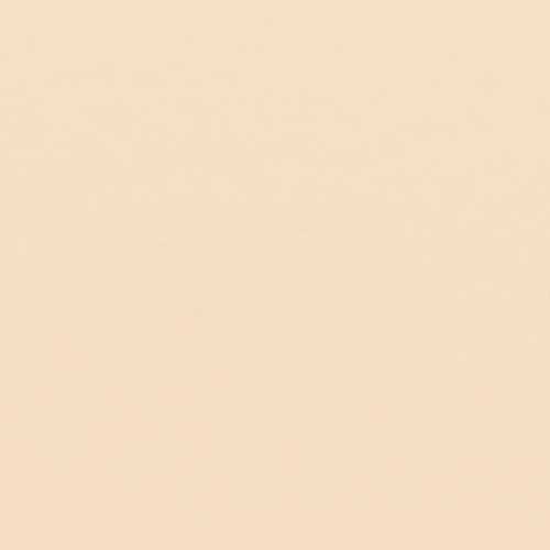 Shiseido Revitalessence Skin Matte Foundation
