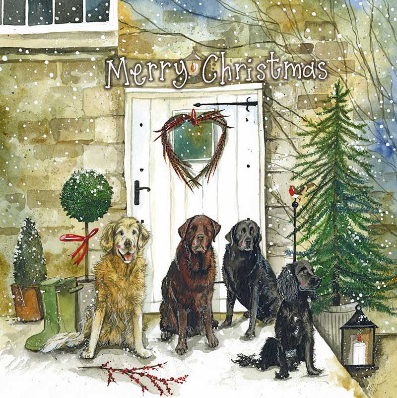 Alex Clark Christmas Dogs Box Of 8 Cards