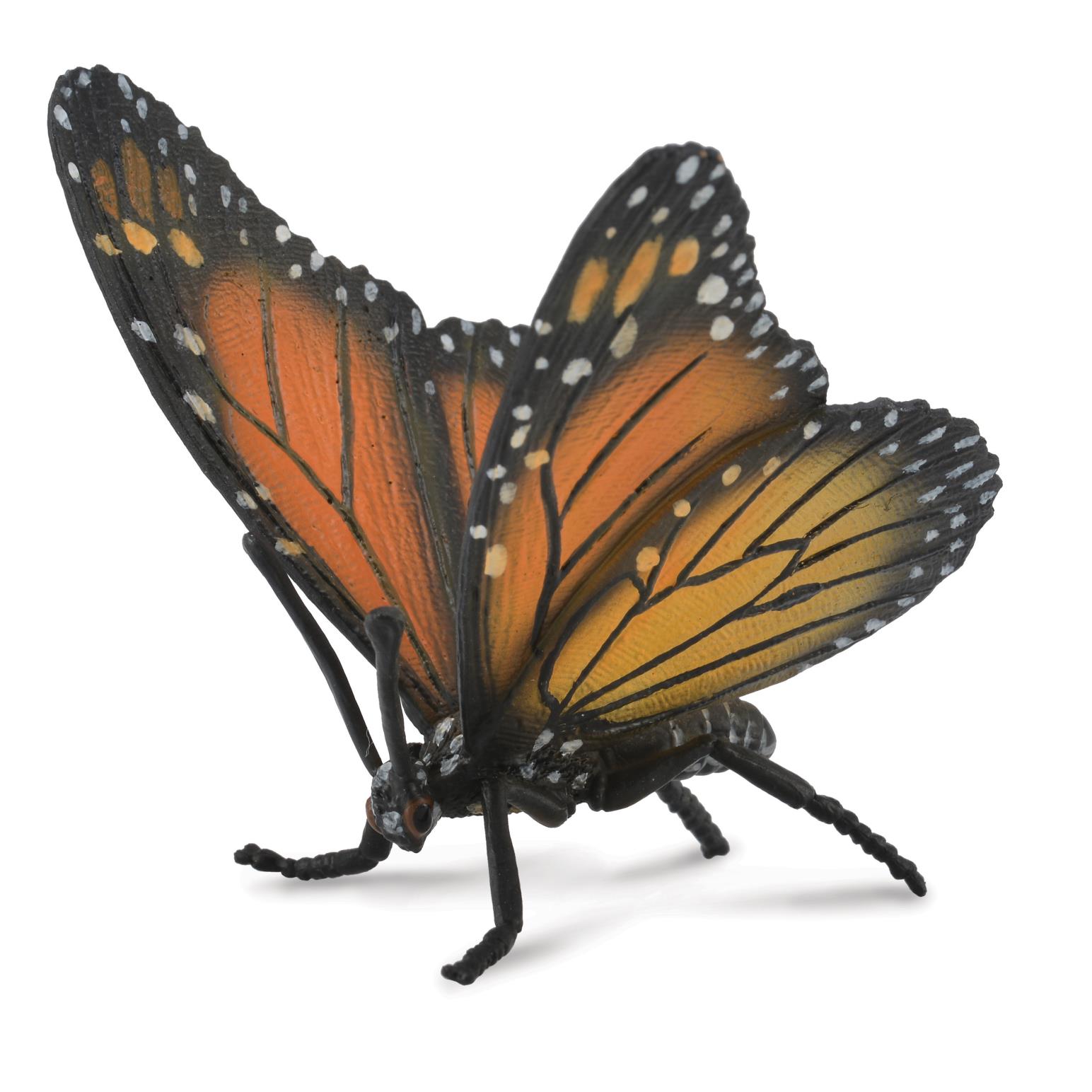 CollectA Monarch Butterfly Figurine L
