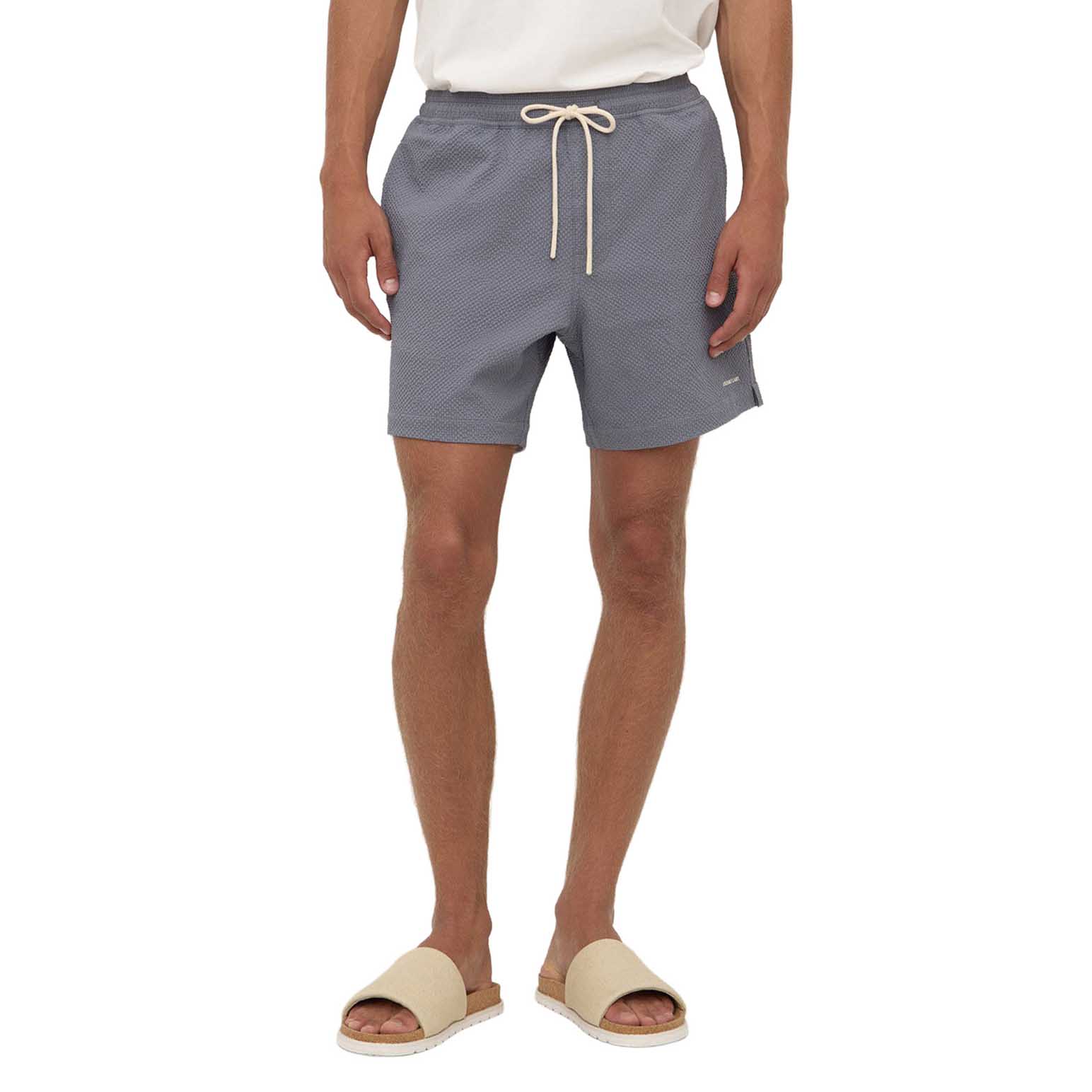 Assembly Label Seth Swim Short Ashphalt