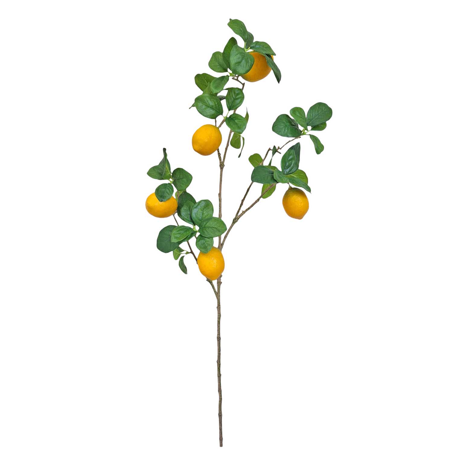 Alison's Acquisitions Tall Lemon Branch