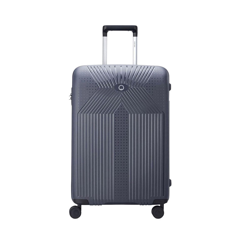 Delsey Ordener 66cm Travel Case