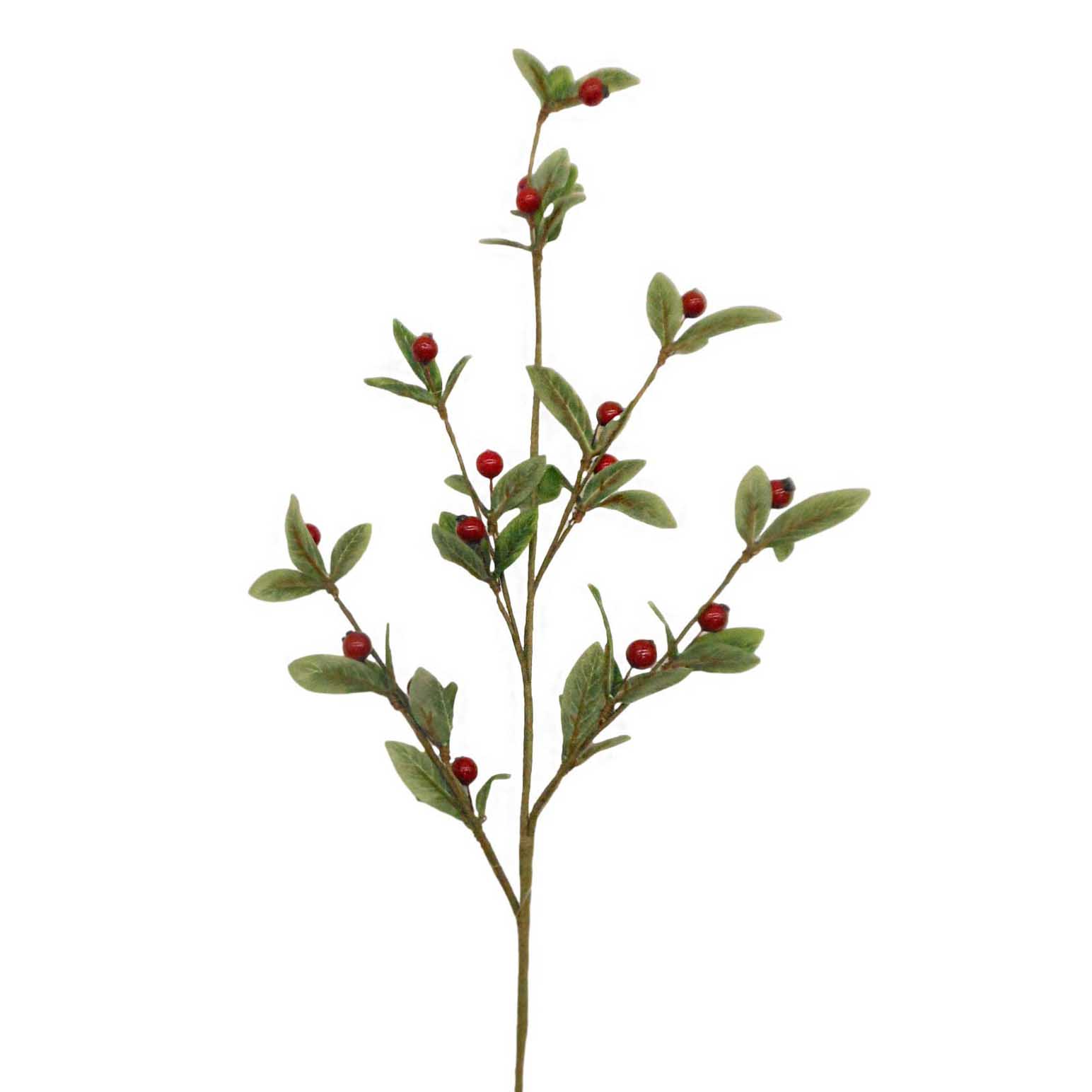 Pick With Red Berry & Small Leaf