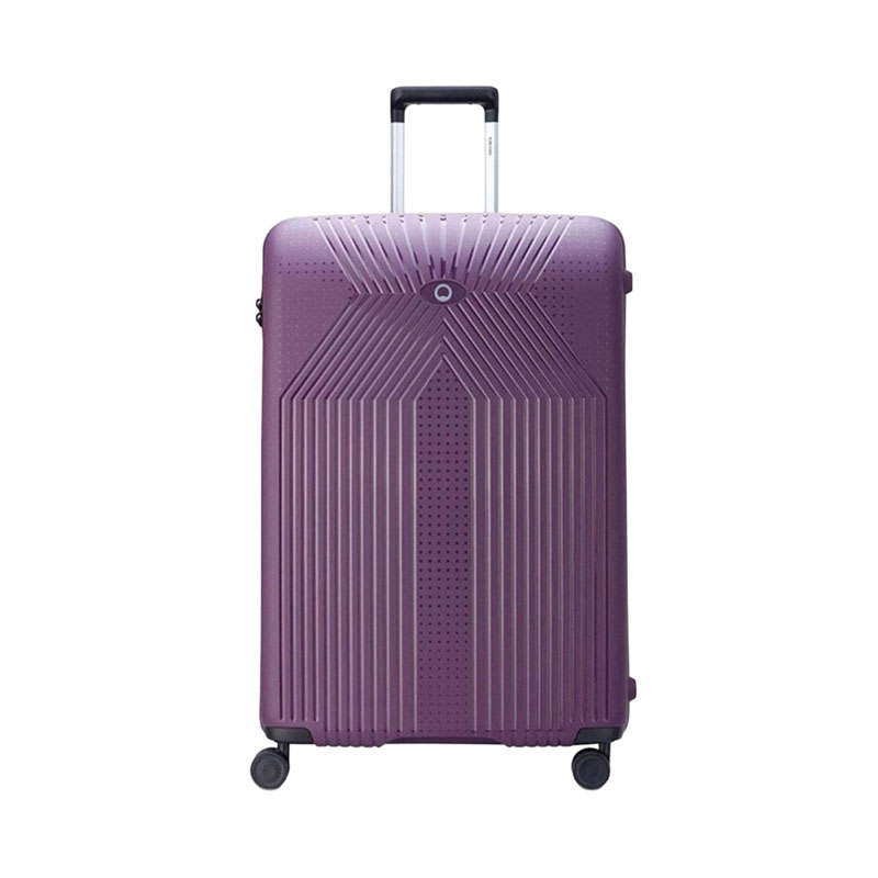 Delsey Ordener 77cm Travel Case