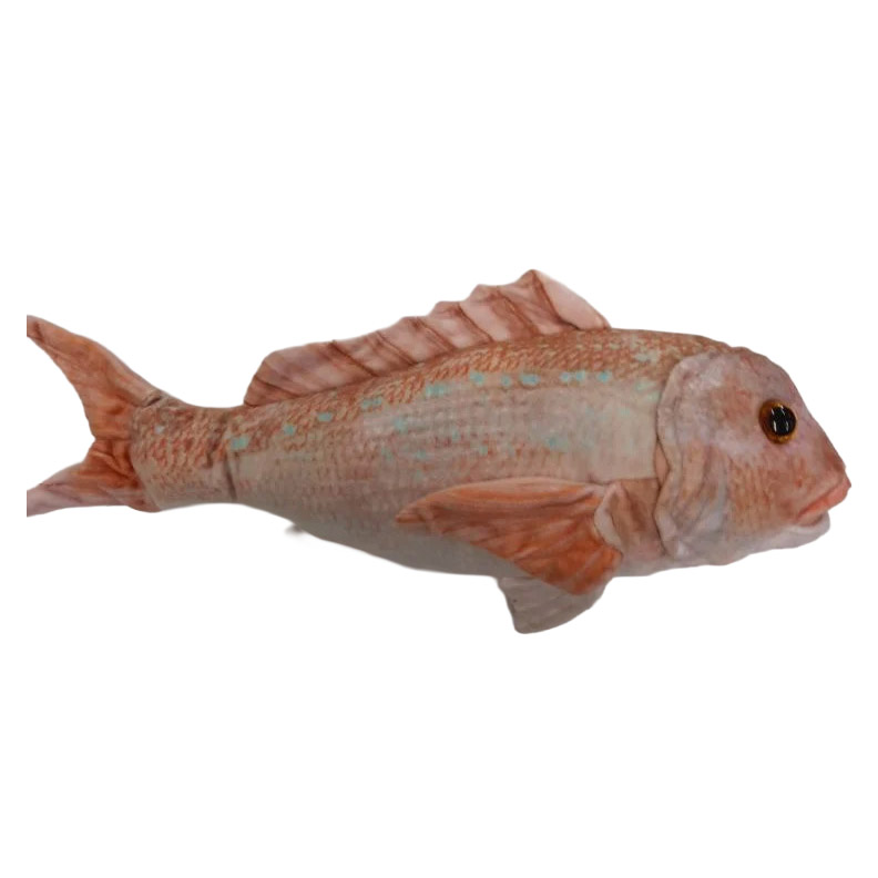 Antics Snapper 39cm