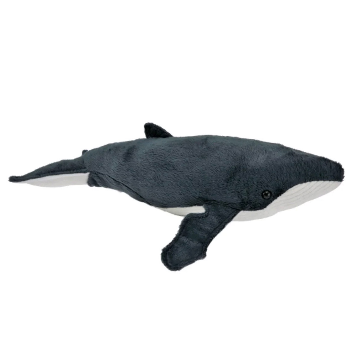 Antics Humpback Whale Sound