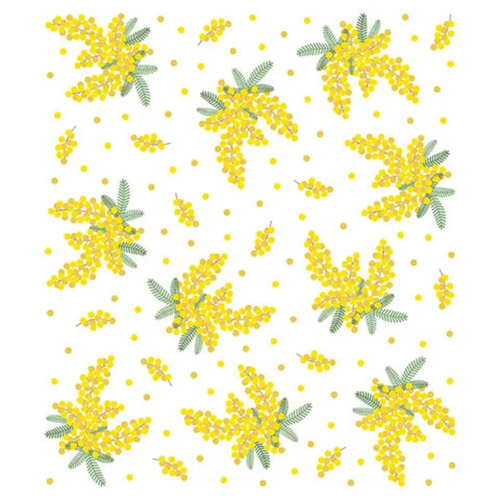 Nawrap Dish Cloth 35x40cm - Mimosa