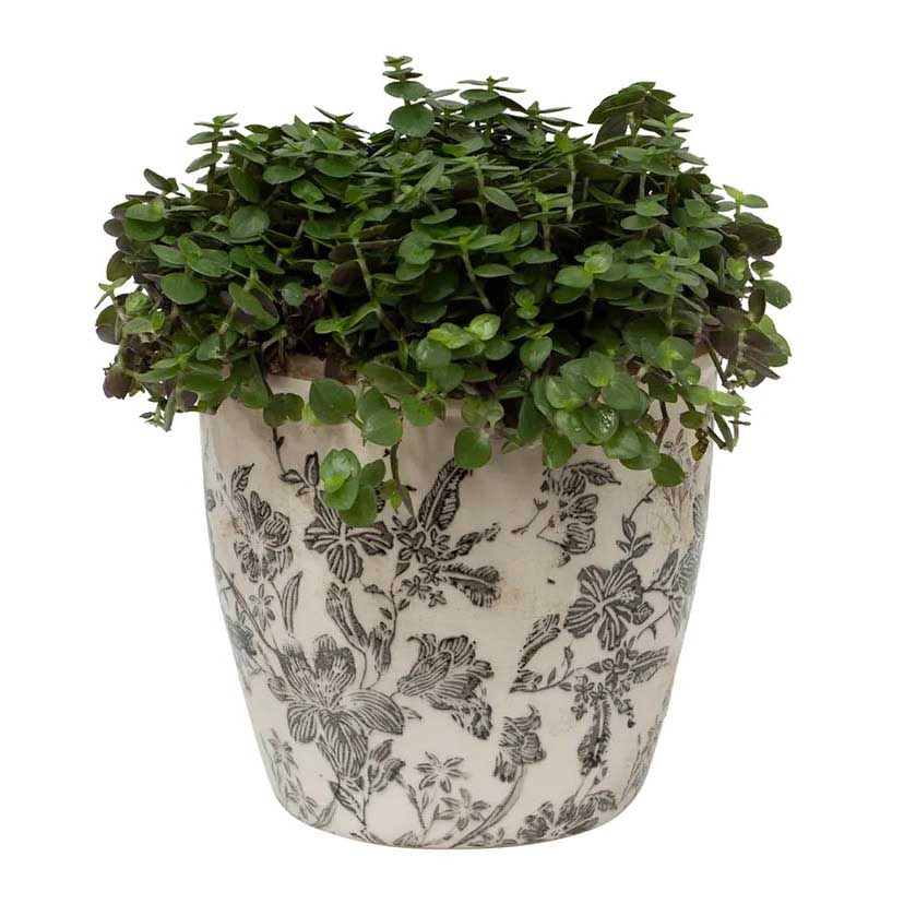 French Country Black Floral Pot Large