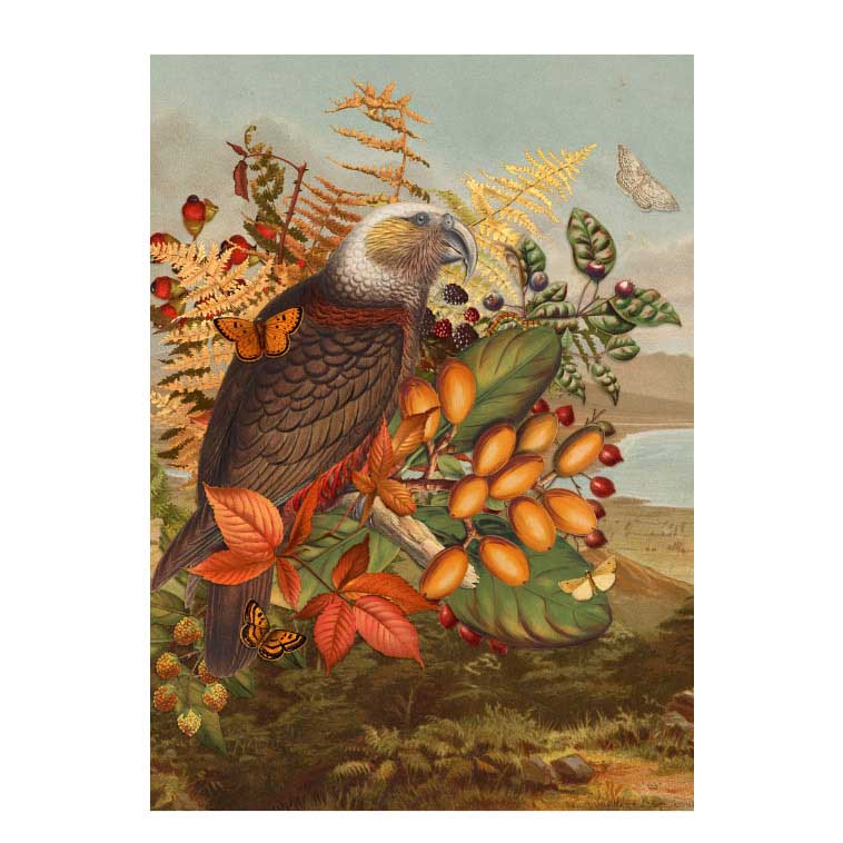 Tanya Wolfkamp Tea Towel Vintage - Kaka
