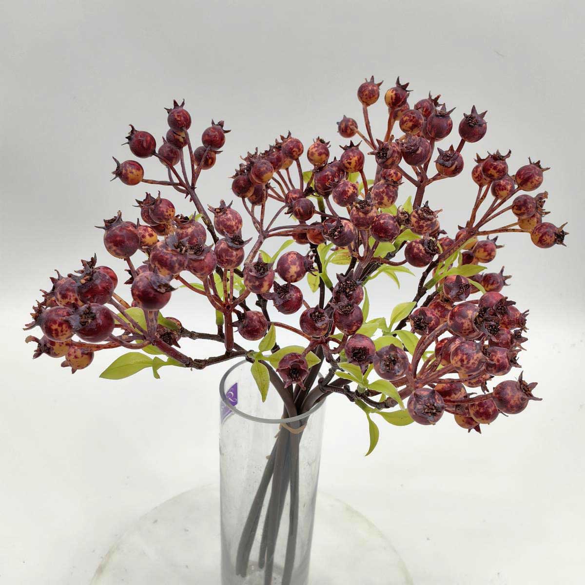 Rosehip Bundle x 5 Stems