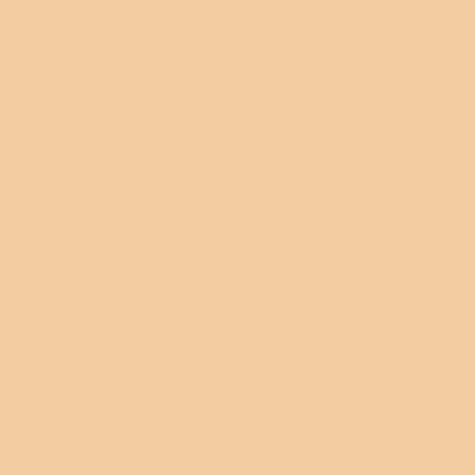 Shiseido Synchro Skin Self-Refreshing Powder Foundation - Refill