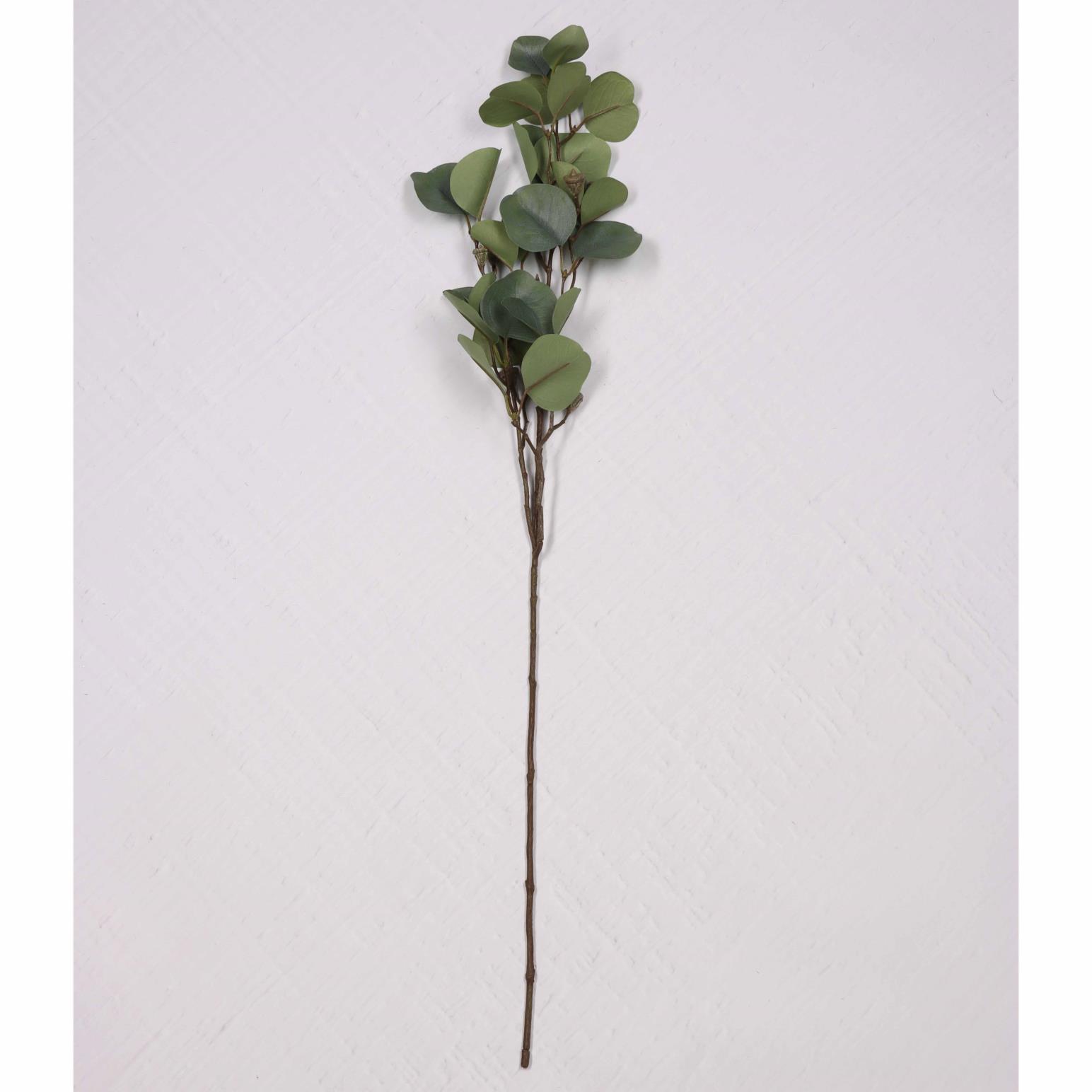 Eucalyptus Spray