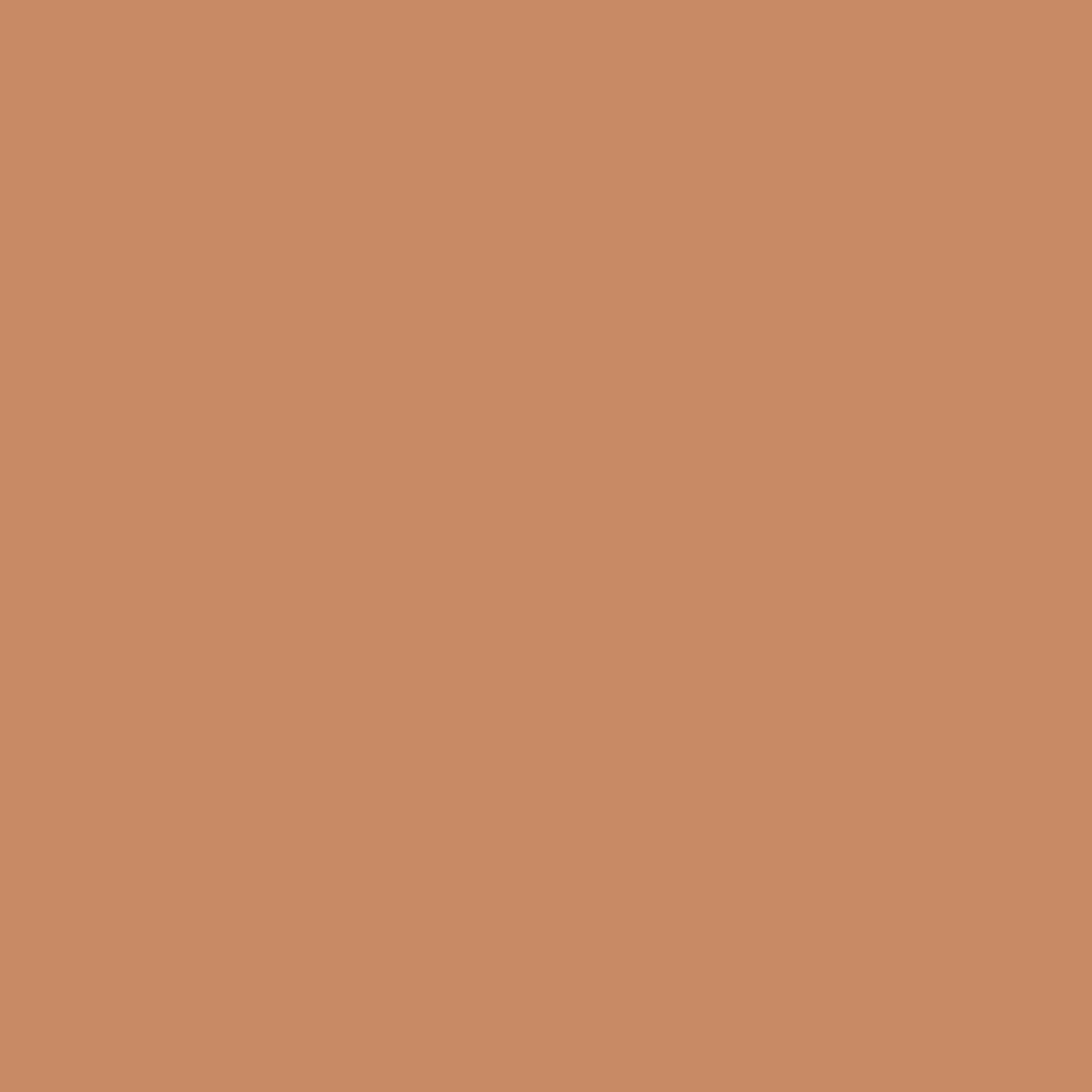 Aleph Beauty Essentials Edit 3.5 Tan Medium