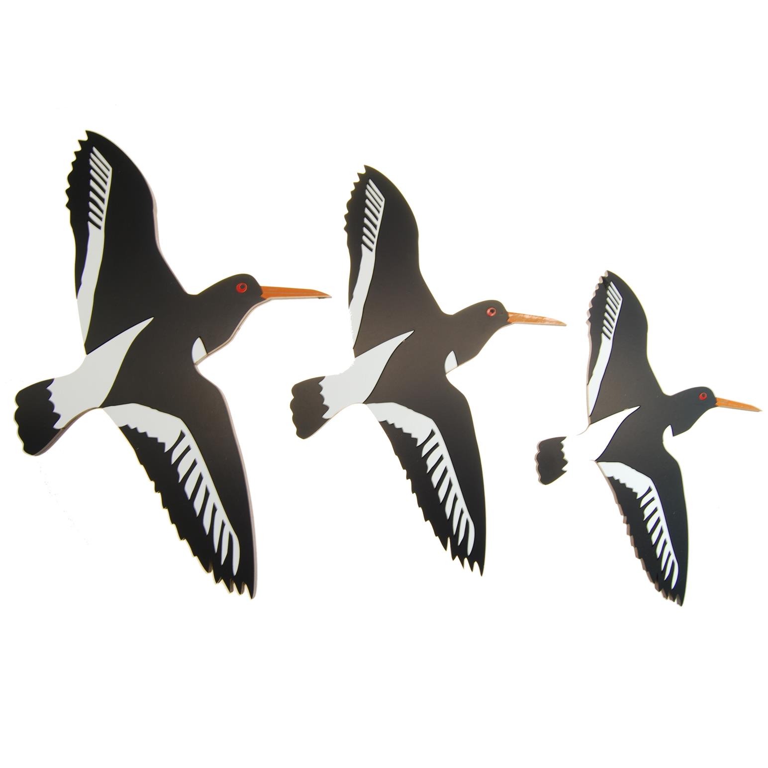Ian Blackwell Nz Airways Oyster Catcher Trioset