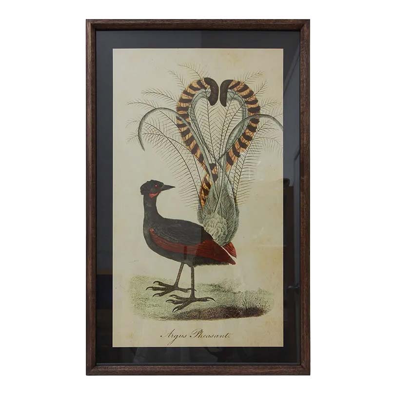 French Country Lyre Bird Wall Art