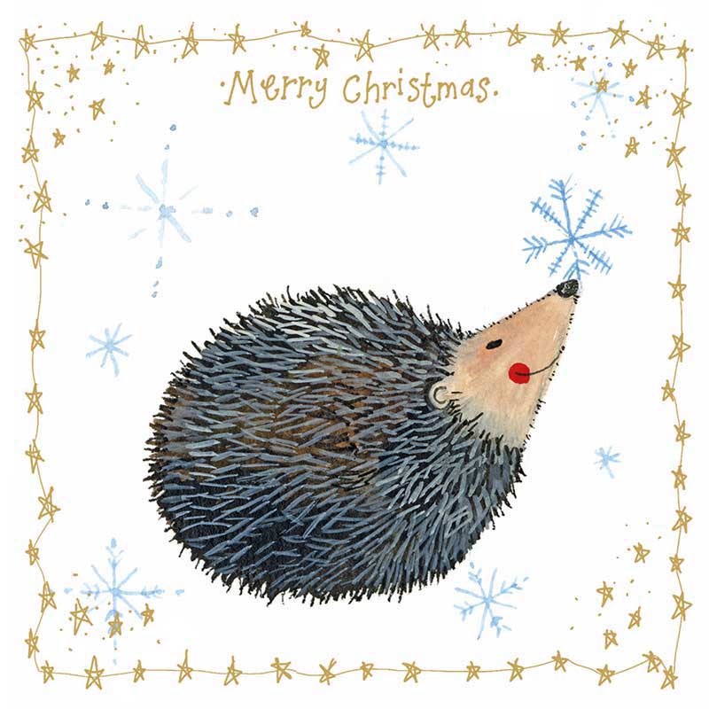 Alex Clark Christmas Hedgehog & Snowflake Box Of 10 Cards