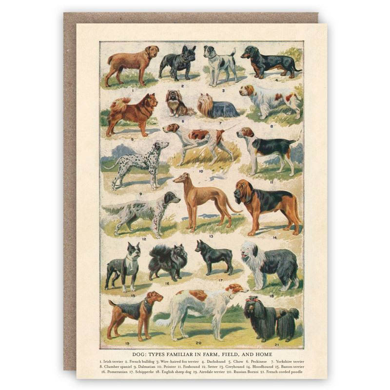 Dog Breeds Card