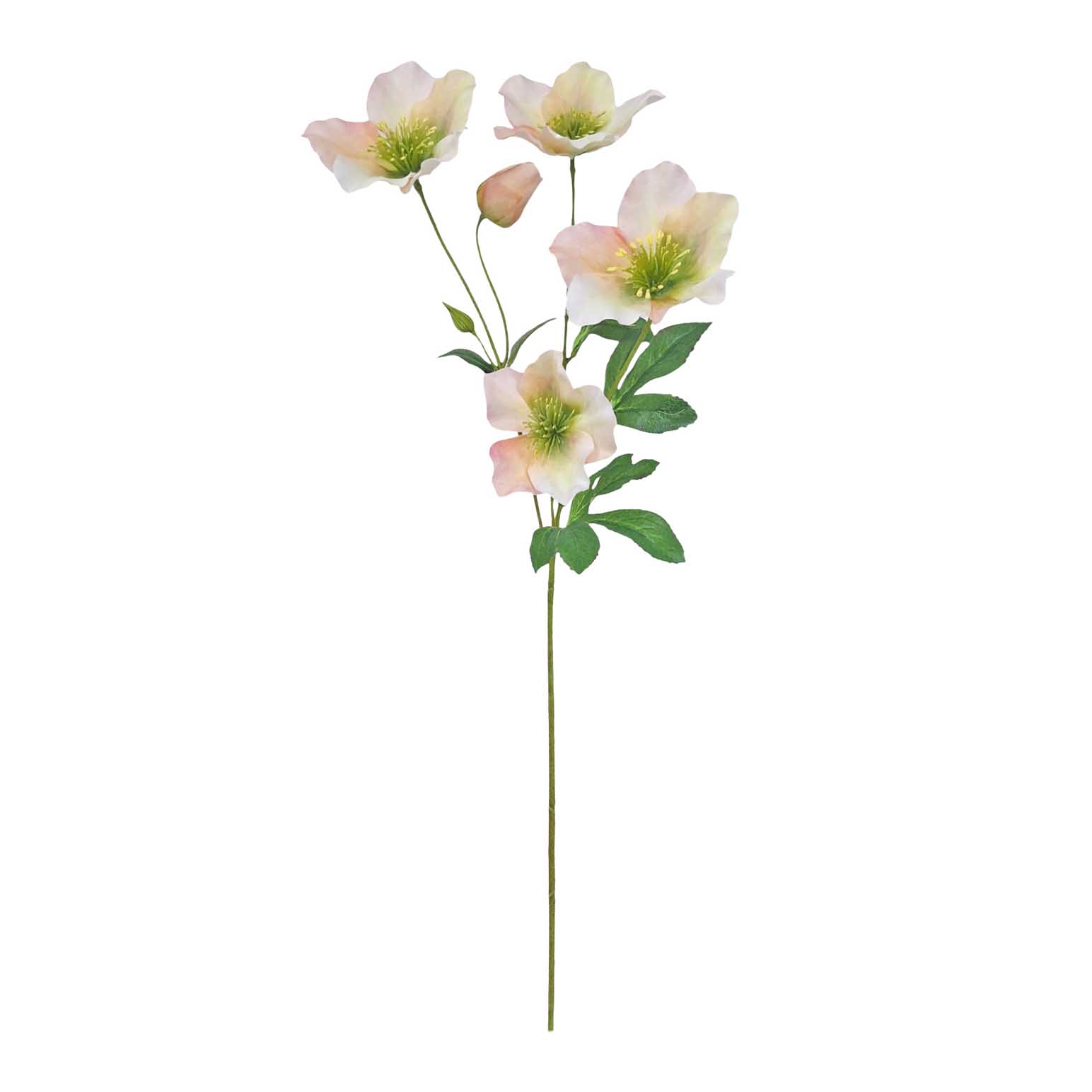 Alison's Acquisitions Full Bloom Christmas Rose Peach