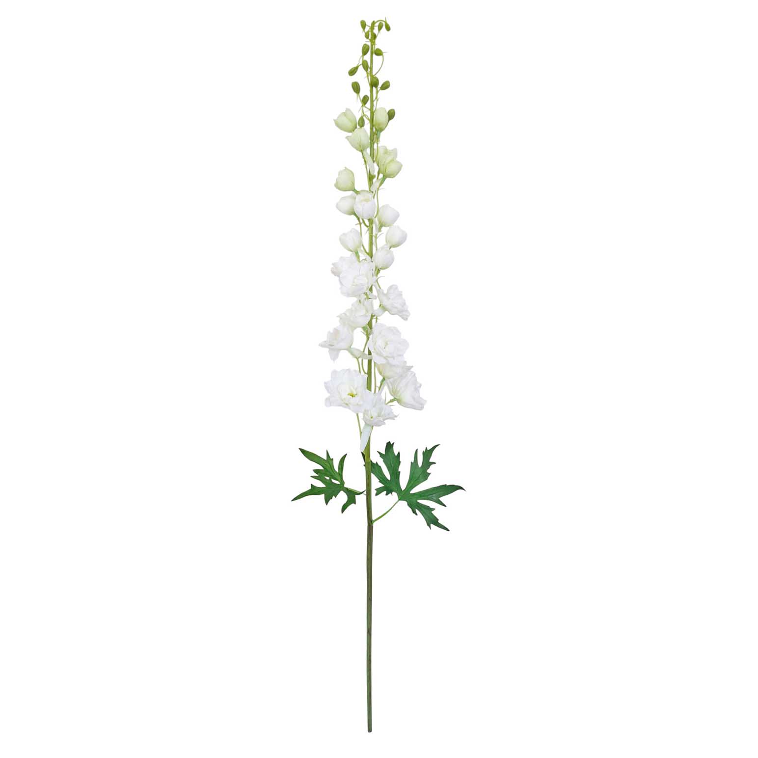 Alison's Acquisitions Full Blown Delphinium White