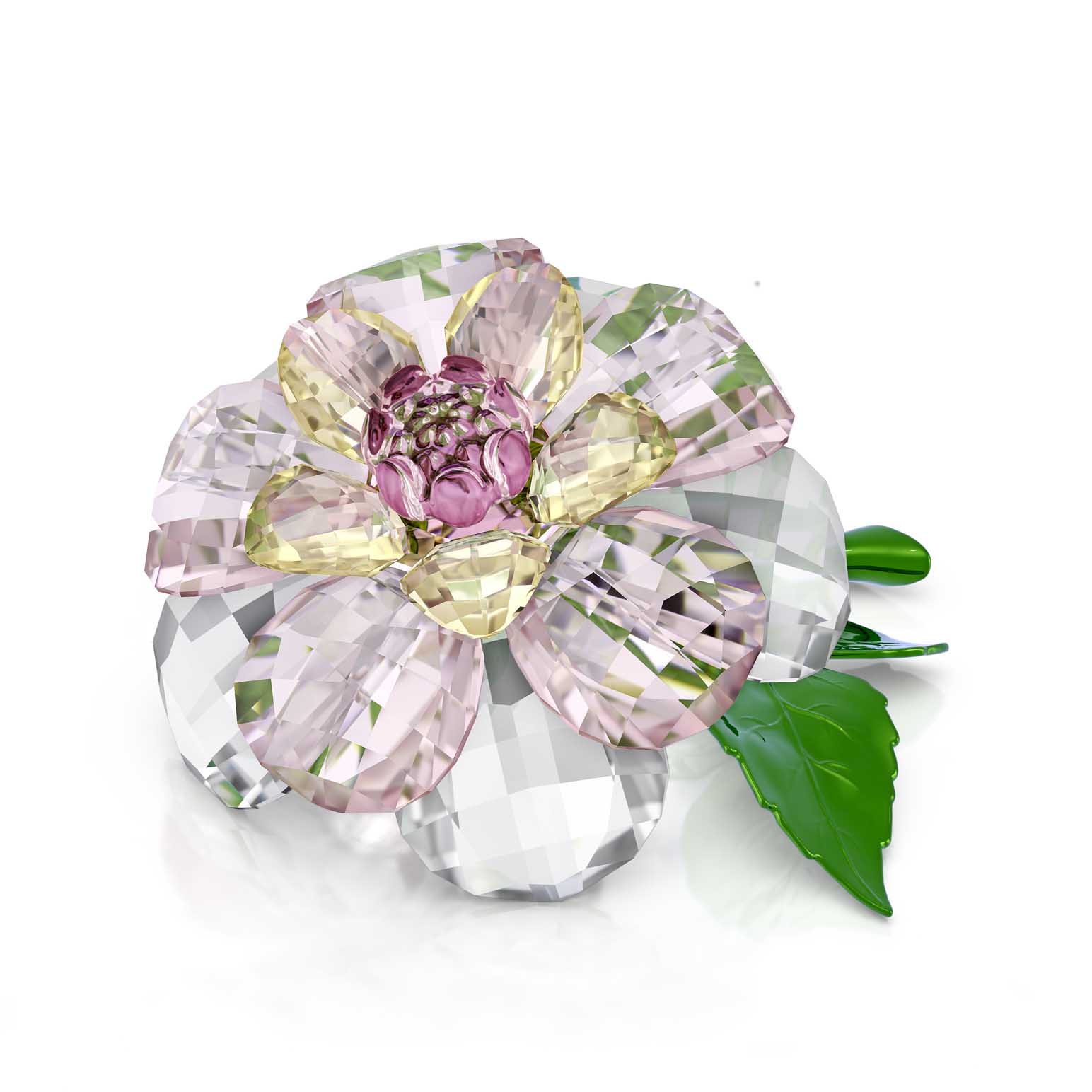 Swarovski Florere Camellia