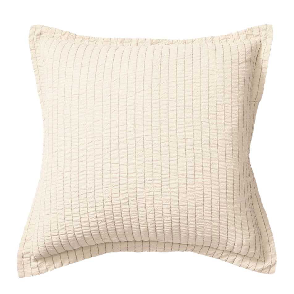 West Elm Seaside Stripe Euro Pillowcase