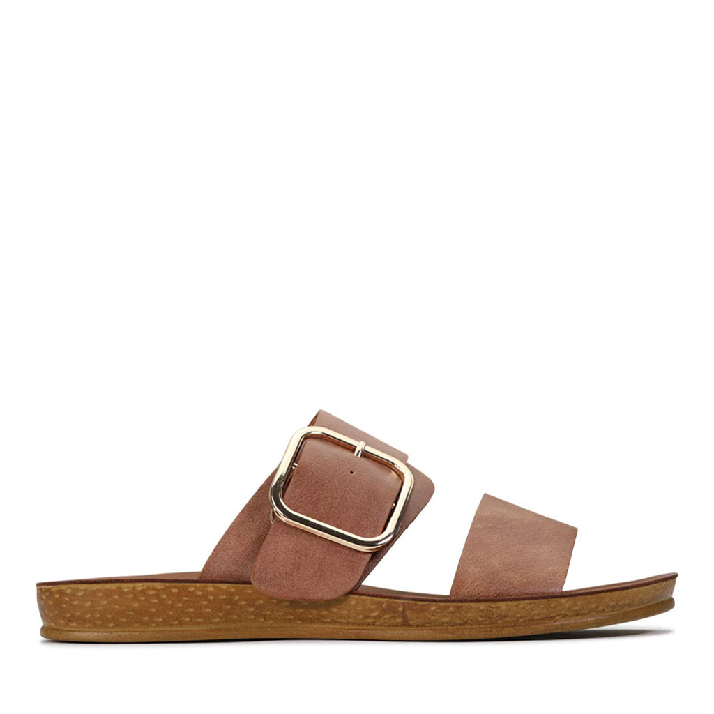 Los Cabos Doti Slide