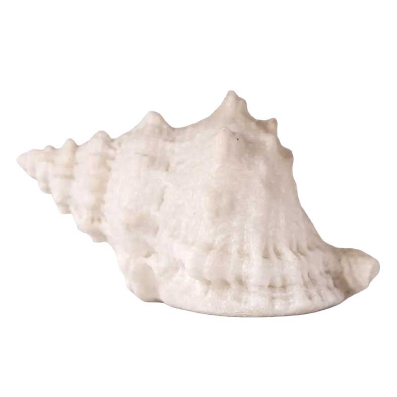 French Country Conch Shell Decorative Light